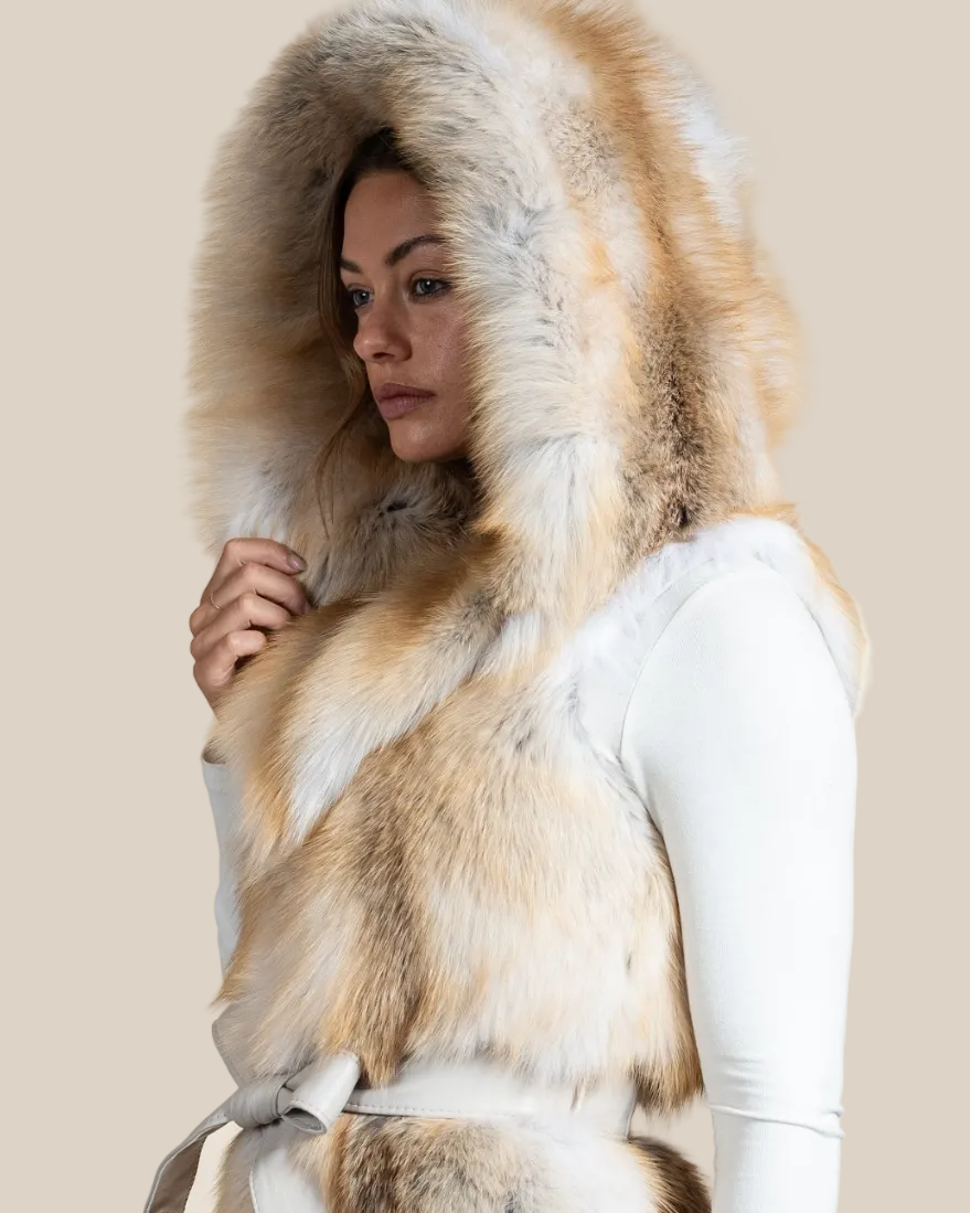 Person wearing a fur-lined hooded coat with a neutral background