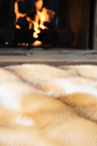 Rugs product 7