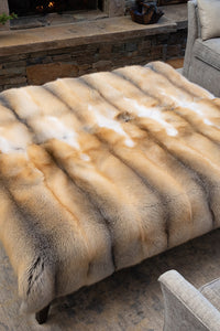 Rugs product 7