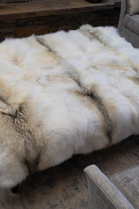Rugs product 15