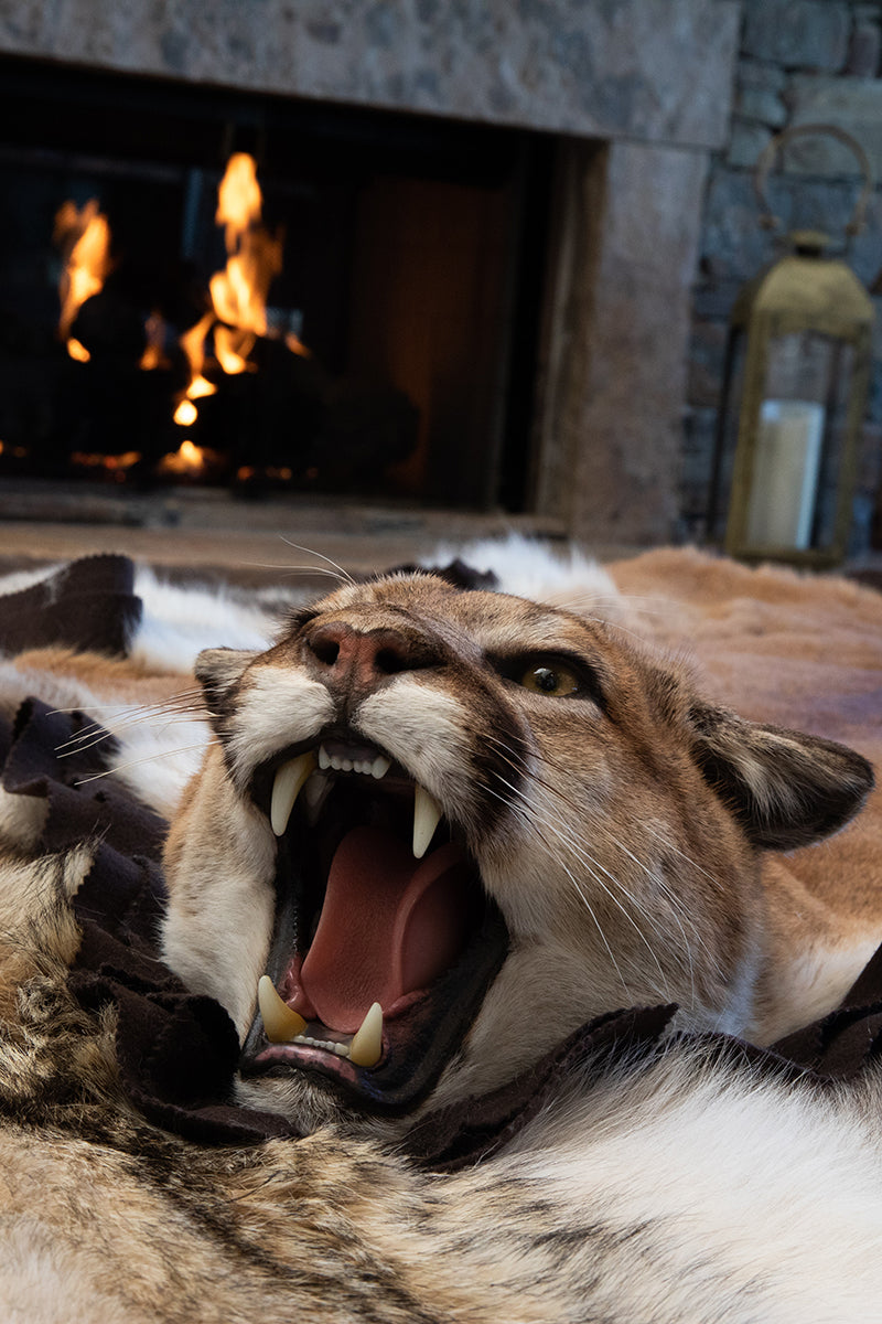 Mountain lion genuine fur rug — handcrafted luxury statement piece from Canadian and Alaskan fur for refined interiors