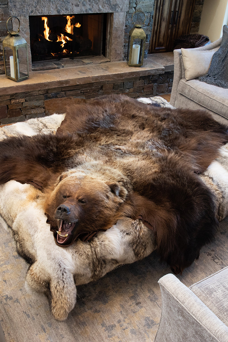 Kodiak Grizzly Bear