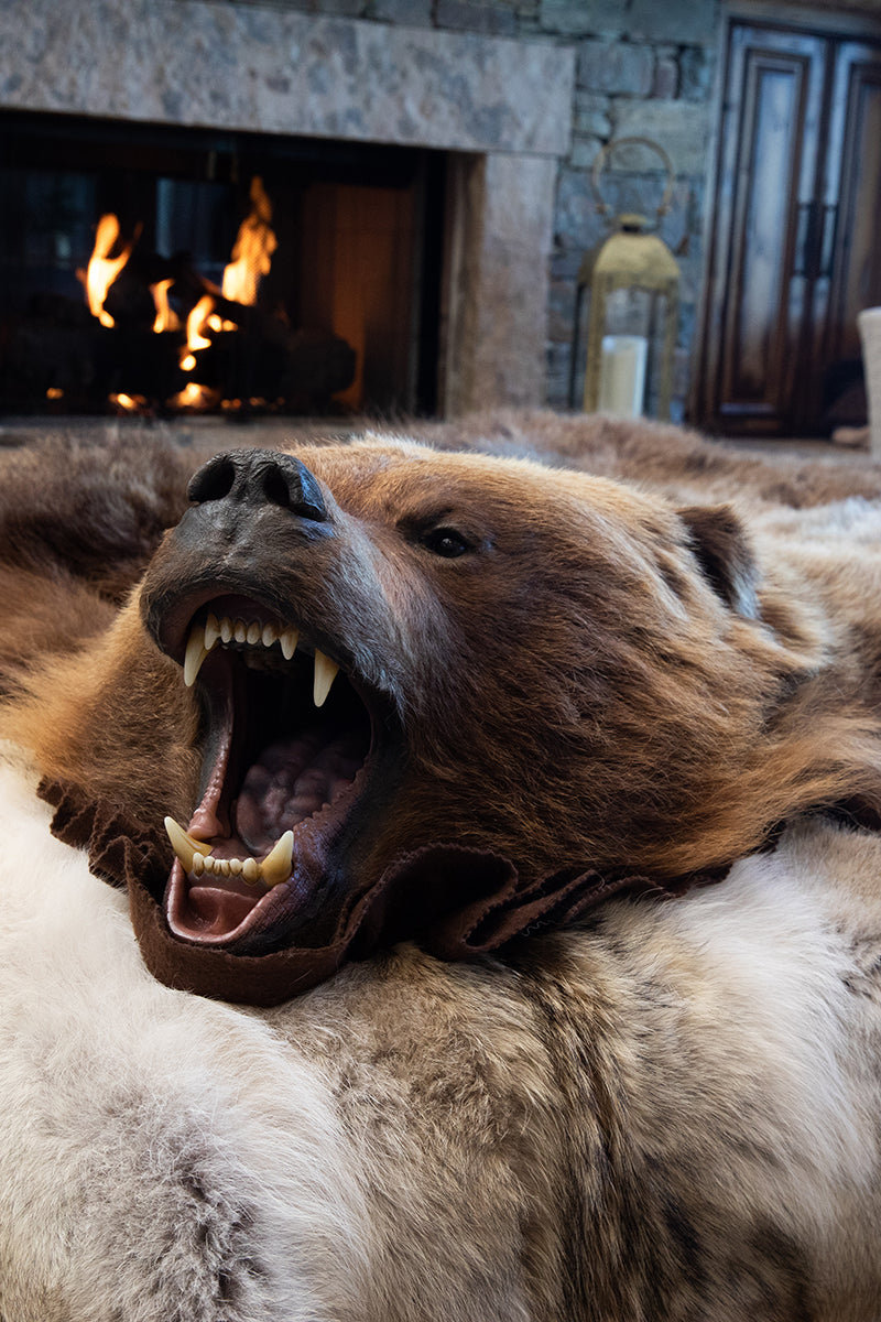 Kodiak Grizzly Bear