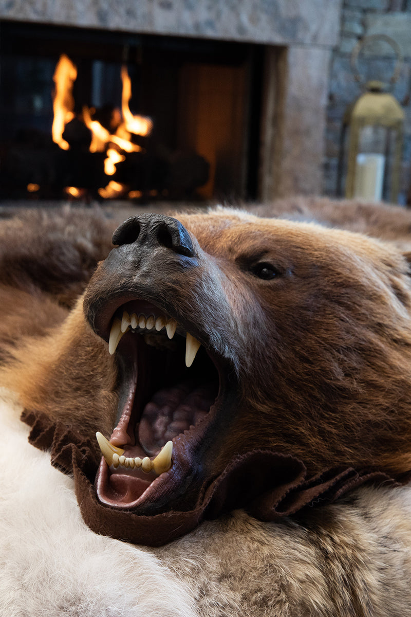 Kodiak Grizzly Bear