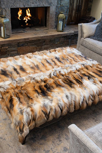 Rugs product 24