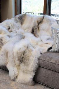 Rugs product 29