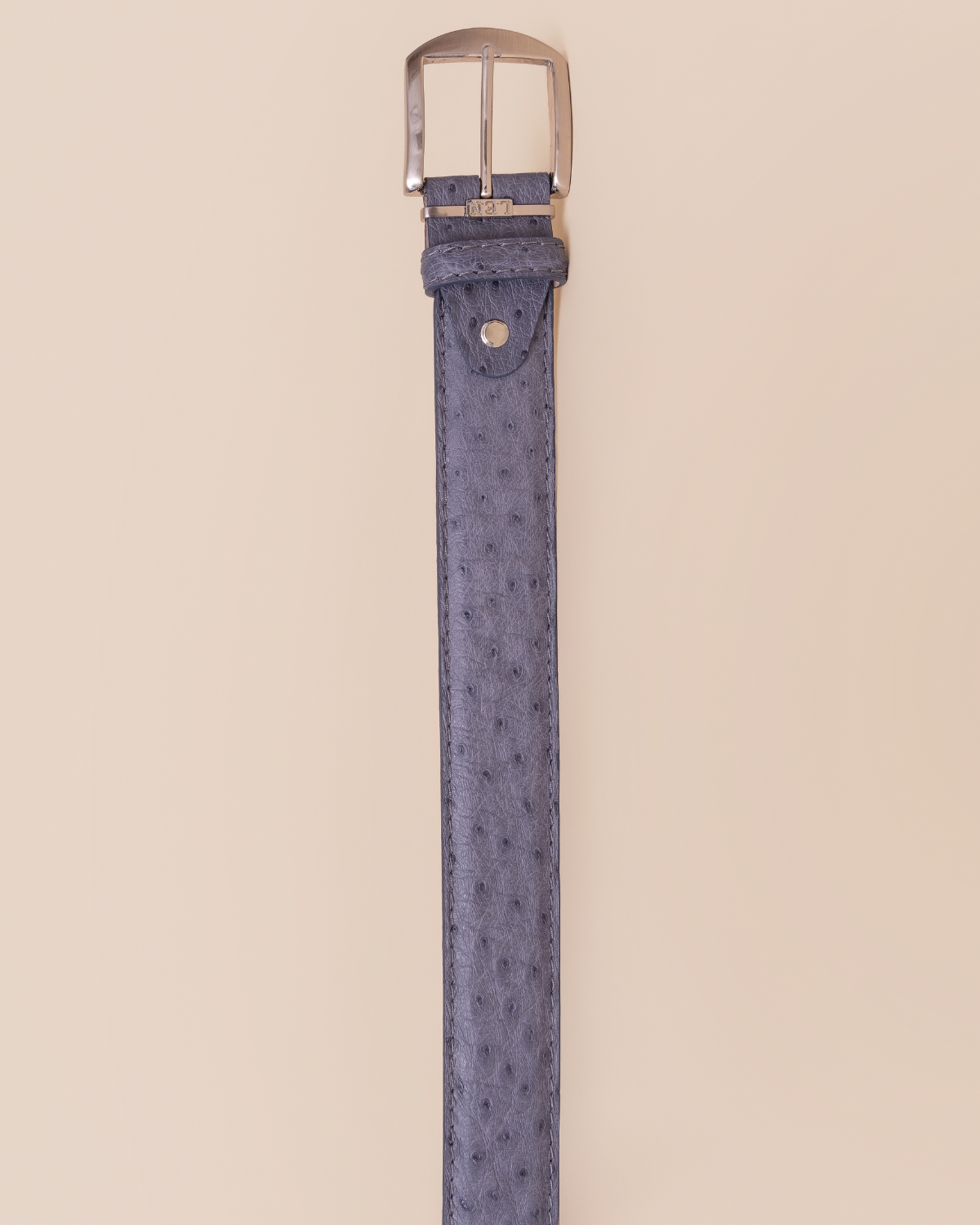 close-up — genuine quill pattern and tonal blue-grey variation